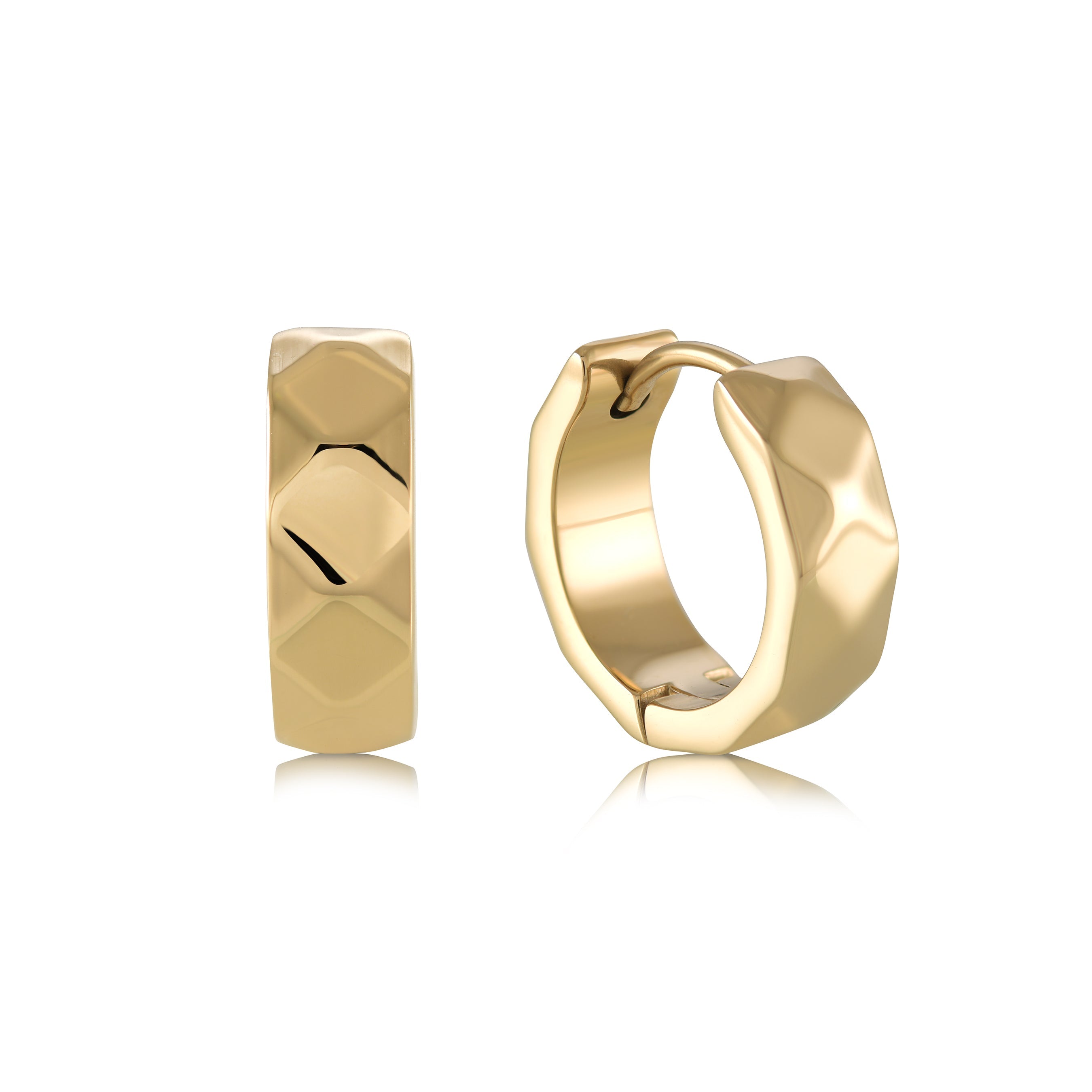 Polished Faceted Earrings